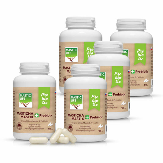 Mastix+ Prebiotic Economy Langzeit-Mastix-Therapie (800 Kapseln) Masticlife