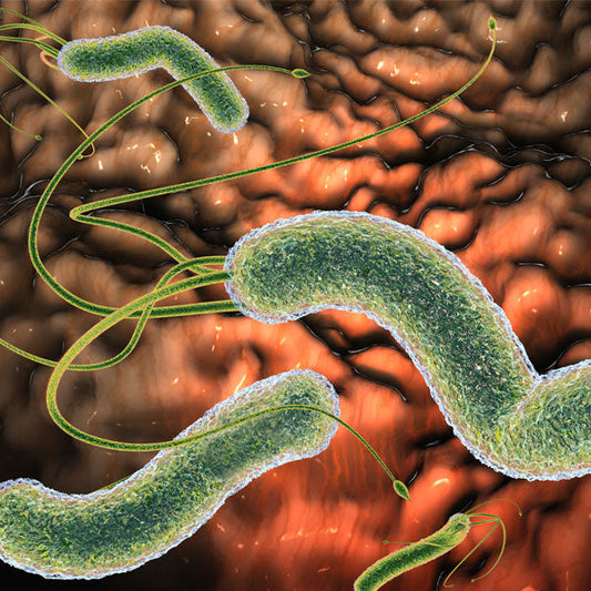 Globale Daten zeigen zunehmende Resistenz bei Helicobacter Pylori Infektionen bei Kindern