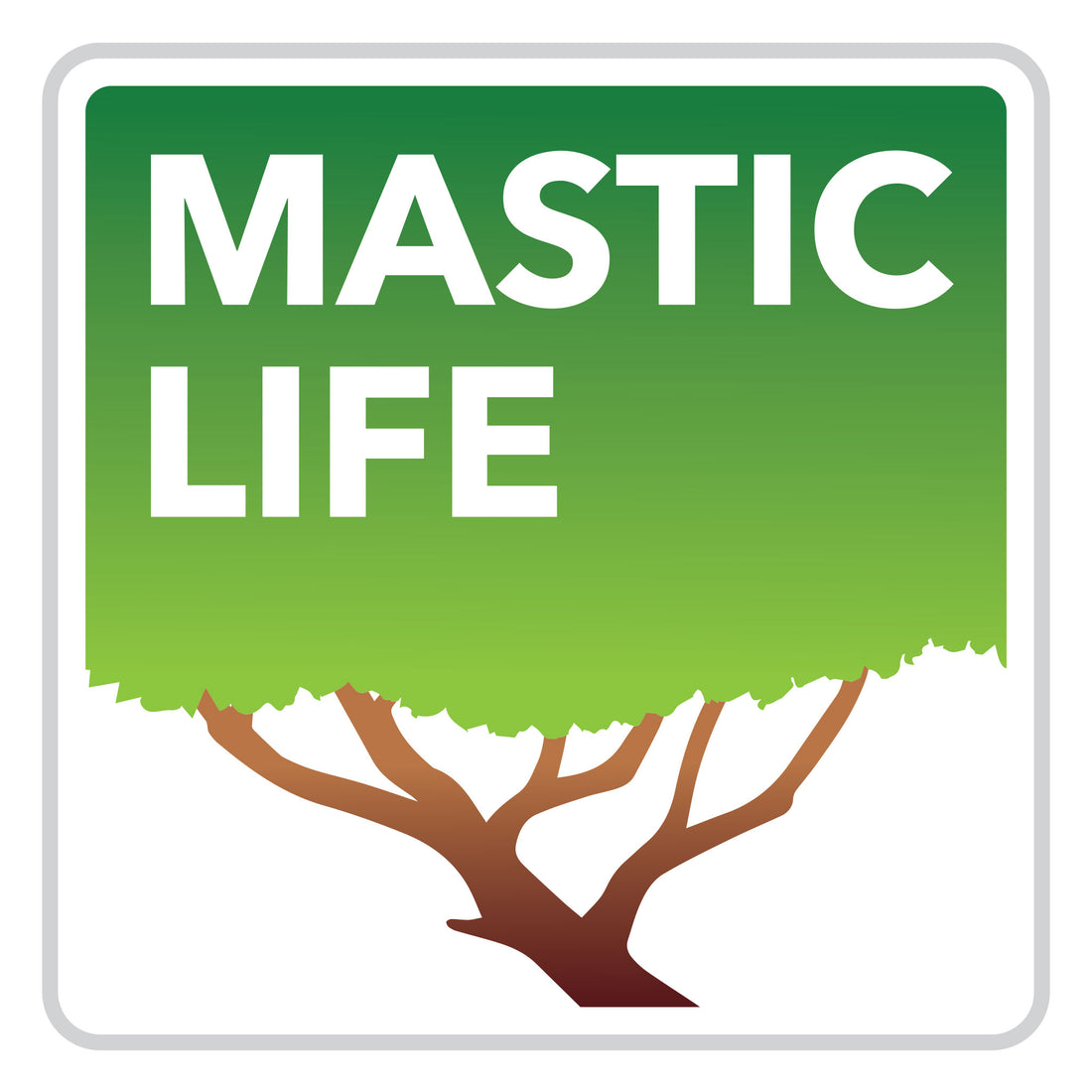 Masticlife Chios Mastix Harz