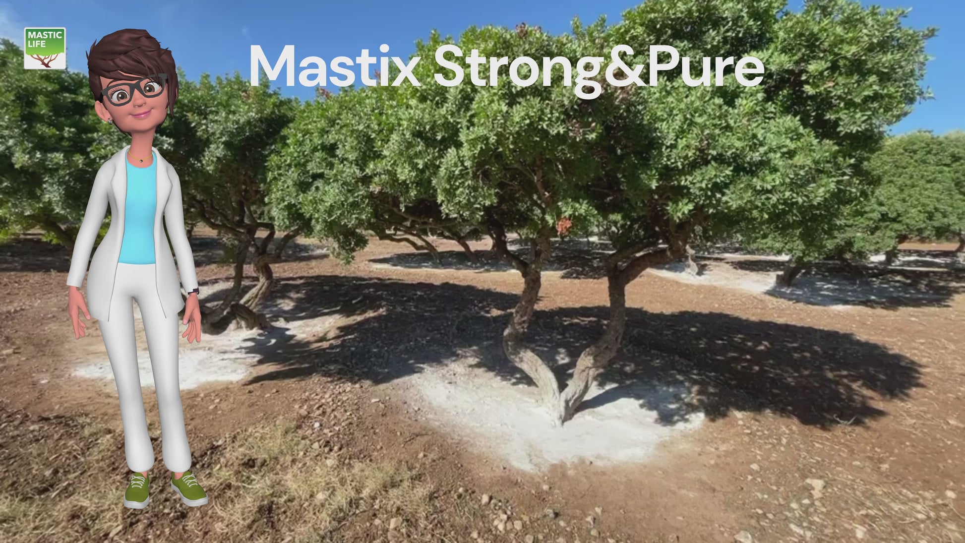 Mastix Strong&Pure – Natürliche Unterstützung für die Magengesundheit Helicobacter, Gastritis, Reflux